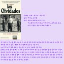 잊혀진 사람들(Los Olvidados, The Young And The Damned, 1950) 이미지