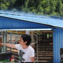 김성일축사 이미지