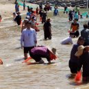 돌머리 오토캠핑장 이미지