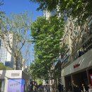 이자카야나무(선릉점) | [서울/선릉역] 선릉역이자카야 '수다 대치점' 후기 (+프라이빗 술집)