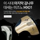 진도 파크골프채 공식 전문 대리점 구매 솔직 후기