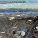 산호1차 A | 하와이여행 4일차2 마우이섬) 알차게 즐겨본 마우이 드라이브 코스