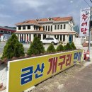 금산개구리