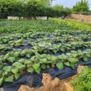 파주비젼부동산공인중개사사무소 이미지