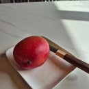 일품양평해장국 마산 합성점 이미지