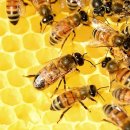 이태연농장 이미지