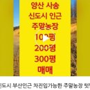 박영태농장 이미지