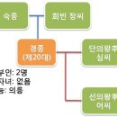 경종의 원비 단의왕후 혜릉 : 시어머니 장희빈 몰락… 고추보다 매웠던 구중궁궐 이미지