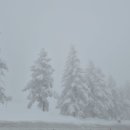 행정사 다인 이미지