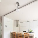 대정연가 이미지