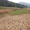 병조농장 이미지