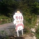 수하약수터 | [2015년 12번째, 7.10-11] 제천 별수하 캠핑장에서 더위와 별하늘을 만끽하다