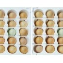 무주반디농장 이미지