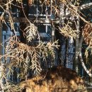 먹고가게 이미지