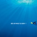 도리