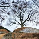 부여(임천)-15 이미지