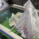 미스터오뎅 | [제천, 충주맛집] 제천리솜에서 먹은 것들 - 미스터회수산, 빨간오뎅, 충주 중앙탑막국수 추천추천🥰