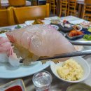 서귀포 맛집 도민 추천 당포회센터 이미지
