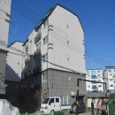 새꽃로(1) 이미지