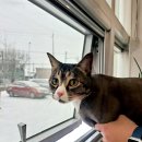 나무쉼터 동물병원 이미지