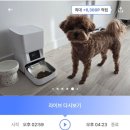 강아지 와요와요 | 방문 펫시터 와요 어플 내돈내산 후기-산책 60분