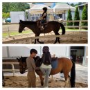 서서울승마클럽 이미지