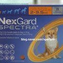 늘봄동물약국 이미지