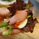 오리고집 이미지