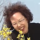 또봅새우
