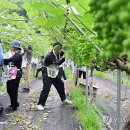 자매유통 이미지