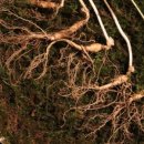 선물도담 이미지