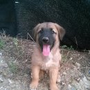 누렁이농장 이미지