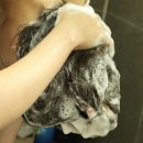 ㈜더엘 | 지성샴푸 추천 헤디안 정수리냄새 솔직후기