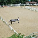 복용승마장 이미지