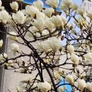 꽃피는부동산중개 이미지