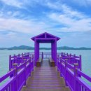 퍼플 - 강서구 | 퍼플