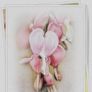 삼척민박 이미지