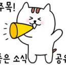 요술곰 동물원 이미지