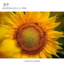 해바라기카페 이미지