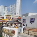 샘마루초등학교 이미지