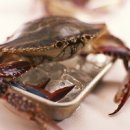 지름신 부르는 쇼핑목록 이미지