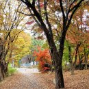 카이스트 후문 이미지