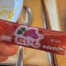 런드리라이스 | [이시가키] 시내 가성비 숙소 쿠쿨레 Cucucle 솔직후기