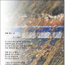 바람 부는 날 / 나태주 이미지