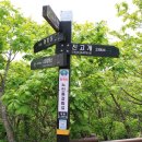 백현마을롯데캐슬사거리 이미지