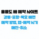 울릉도 배 예약 사이트, 강릉·포항·묵호 배편 예약 방법, 앱·예약 시기, 매진·취소 정보 총정리