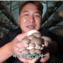 다양한 버섯을 활용한 건강한 요리 이미지