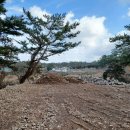 가로수민박 이미지