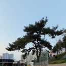 금곡 어린이공원 이미지