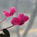스토리엠 네이버블로그